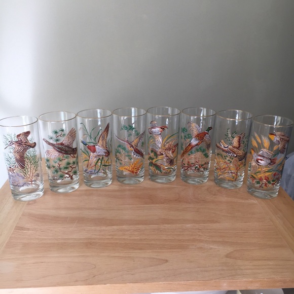 RARE! Vintage (Set of 8) Wild Fowl Glasses - Picture 1 of 9